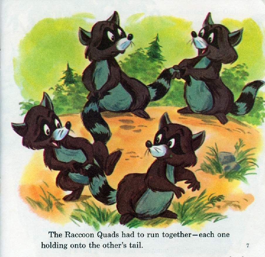 Thumper's Race (09),绘本,绘本故事,绘本阅读,故事书,童书,图画书,课外阅读